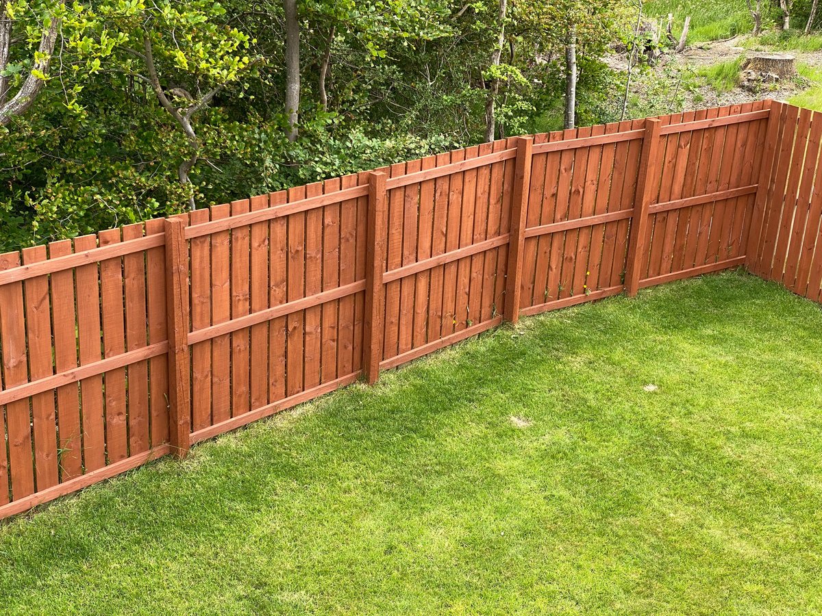 Freshly stained restored timber fence