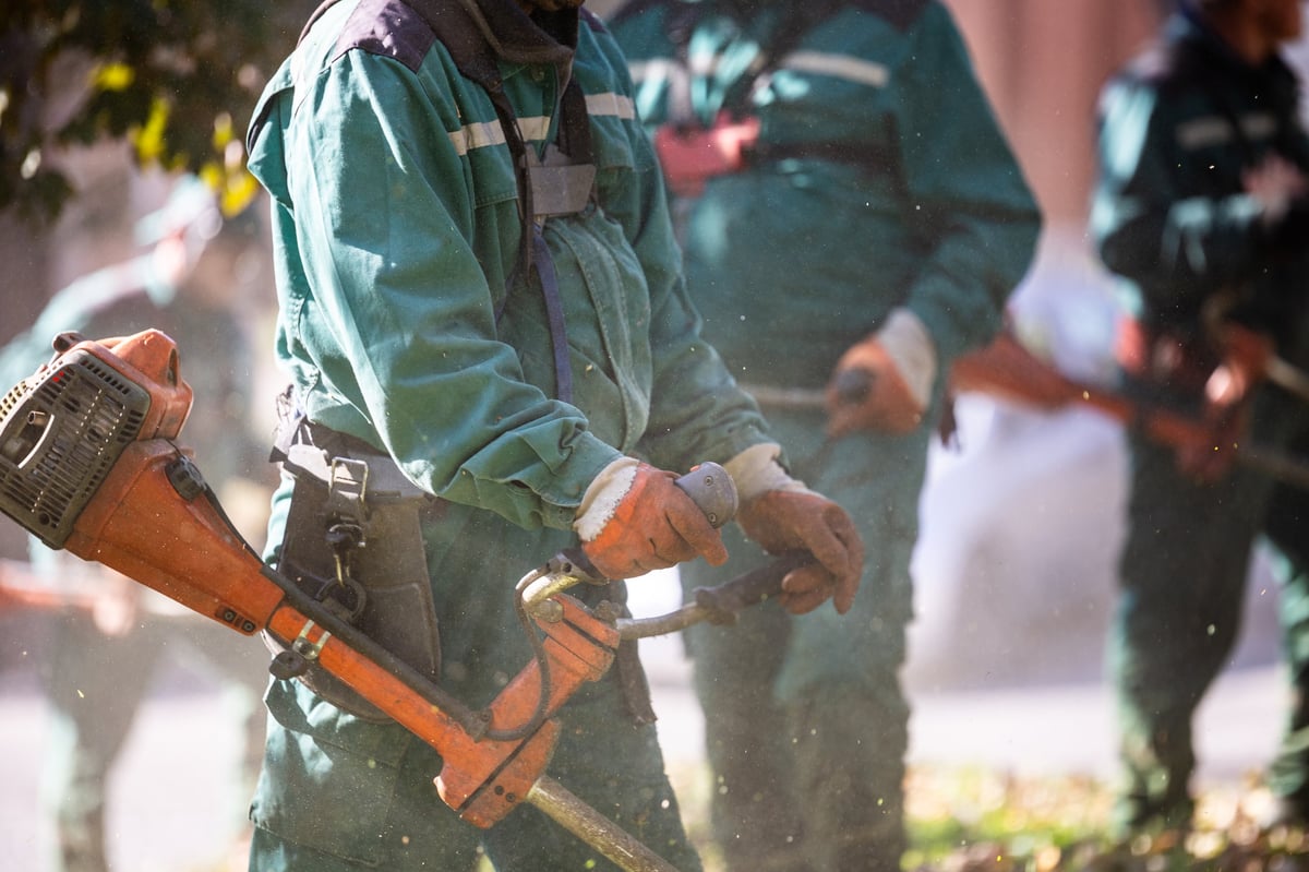 Landscaping team trimming grass with professional equipment