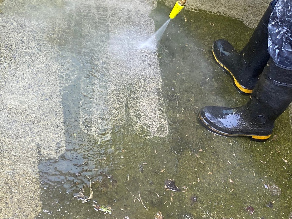 Dirty driveway before pressure washing