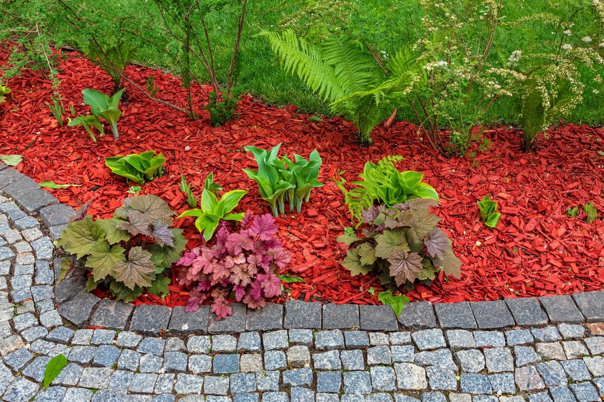 Clean mulched flowerbed after weed removal