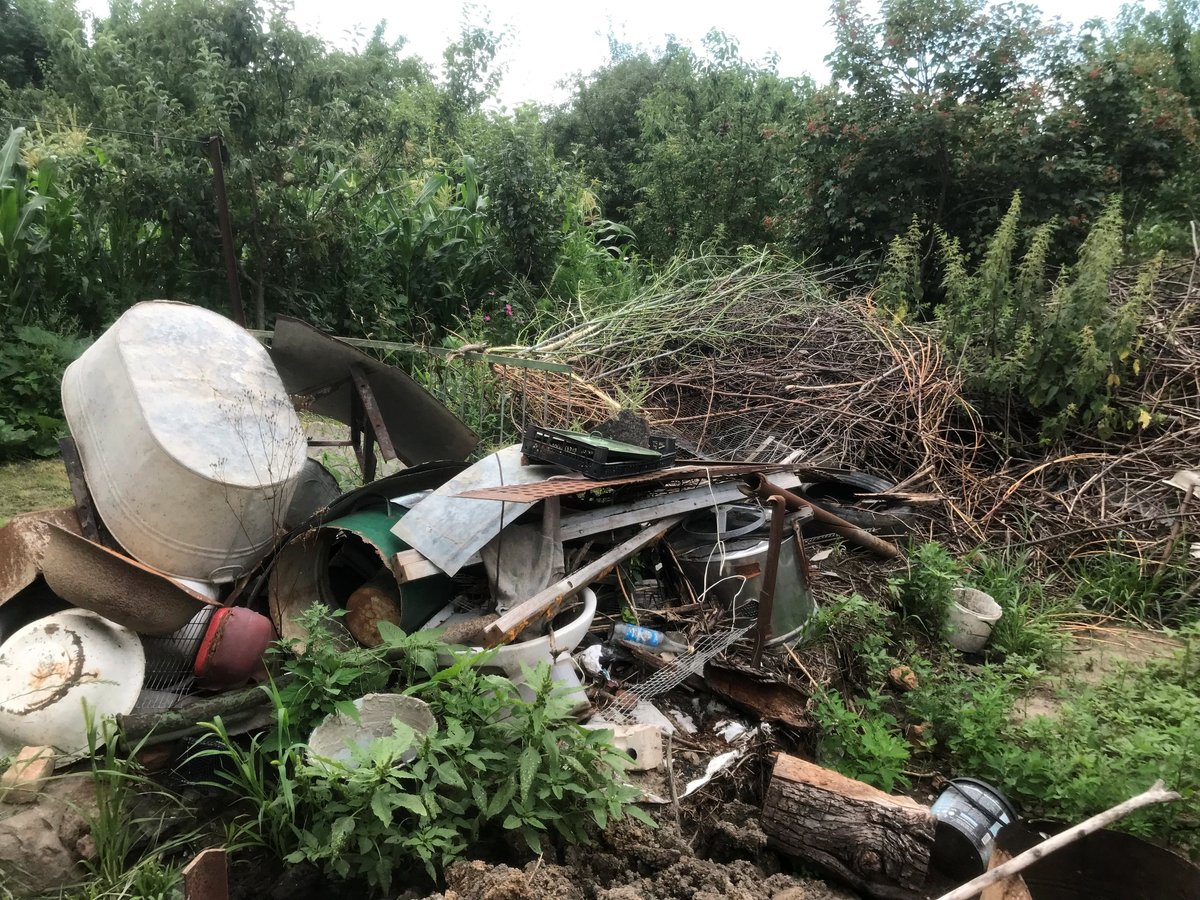 Neglected garden with debris before clearance