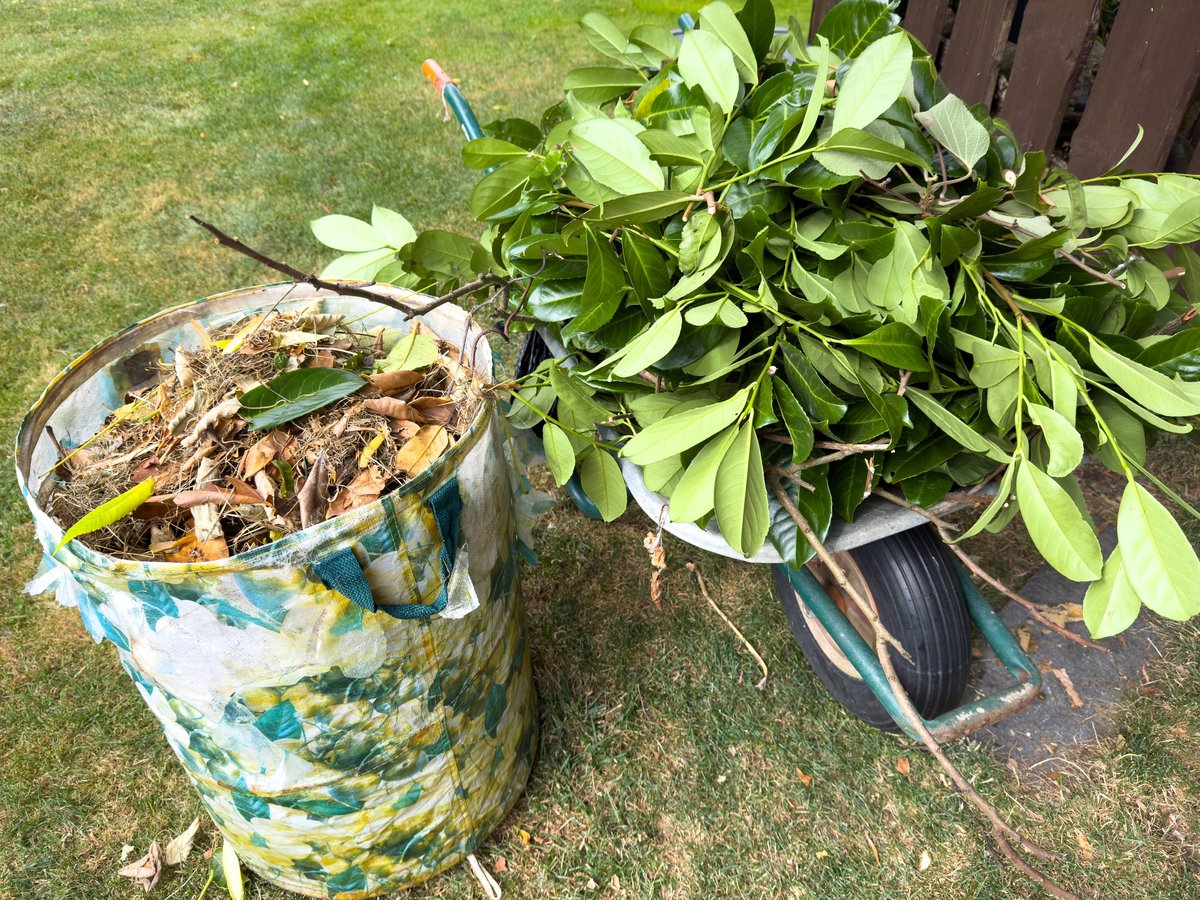 Tidy garden after clearance with waste bags