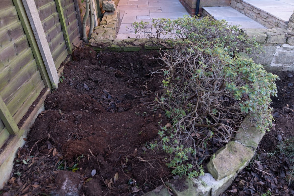 Cleared flowerbed before planting